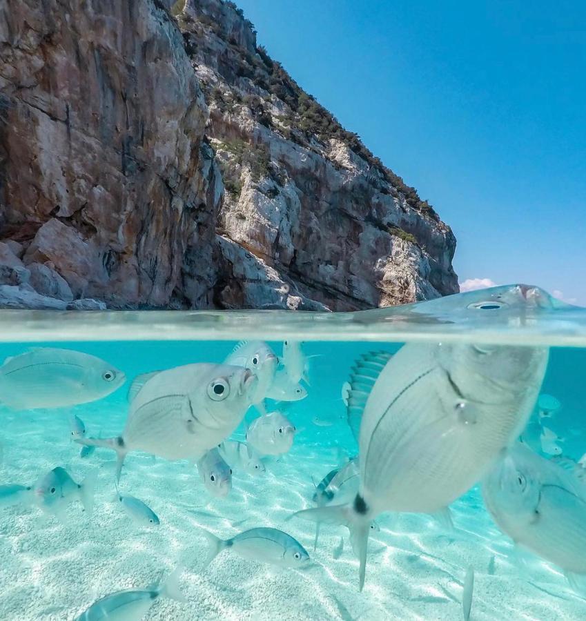 Cala Gonone, Casa I Pini Appartement Buitenkant foto